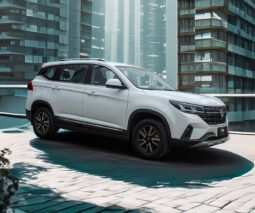 T5 DONGFENG lleno