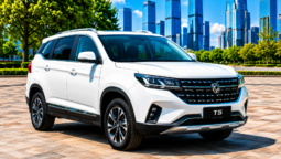 Dongfeng T5